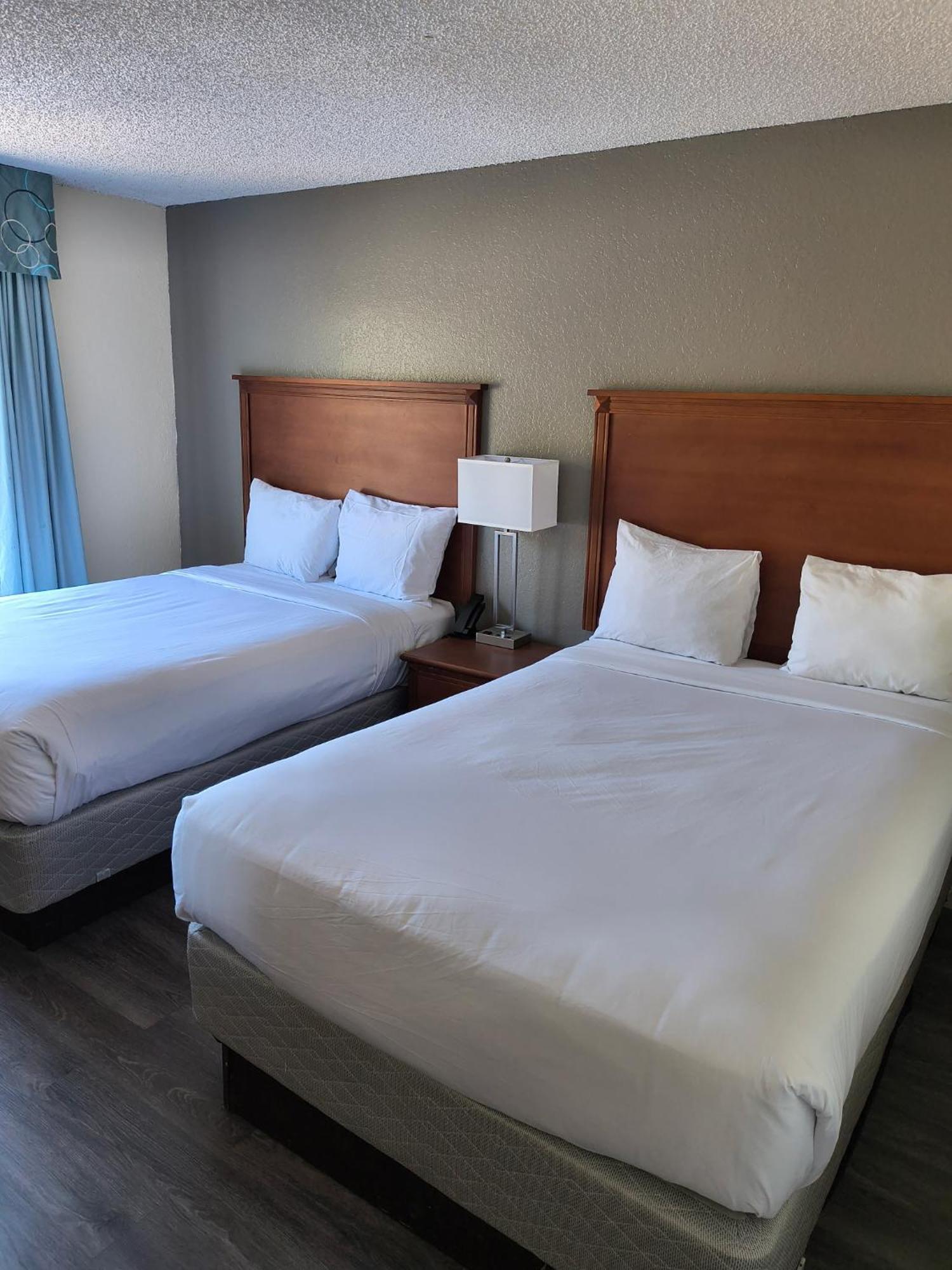 Baymont By Wyndham Gainesville I-75 Pokoj fotografie